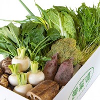 マルフク株式会社