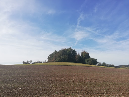 Rohrköppel - Visual