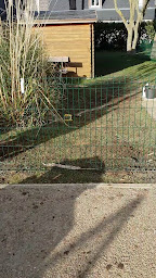 Photo n°14 de Capello Elagage 50 à Carentan-les-Marais (Service d'élagage)