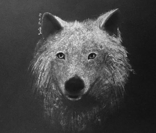 I Create Art Classes Gallery - Australia