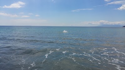 Photos of The Sands - Waiheke Island