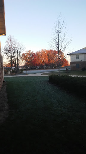 Racer Field - Visual