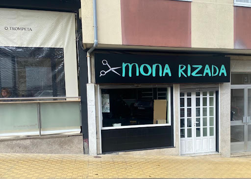 Mona Rizada - Visual