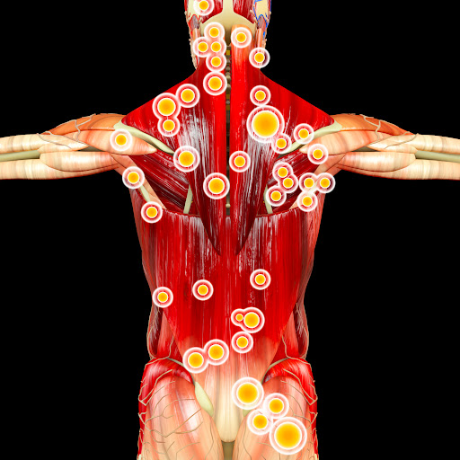WellBody Massage Therapy