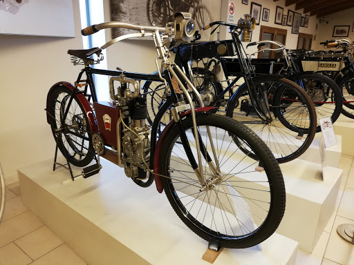 Collezione Salsapariglia