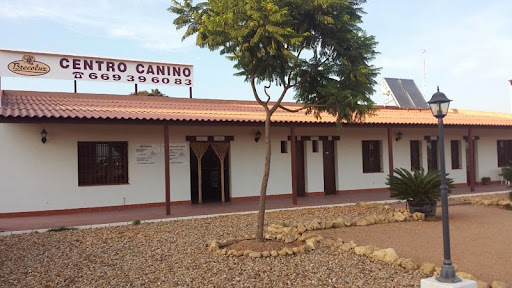 Hotel para perros Brecoluz Residencia Canina Agility