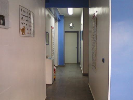 Ambulatorio Veterinario Medvet Dott. Valerio Corvino - Thumbnail