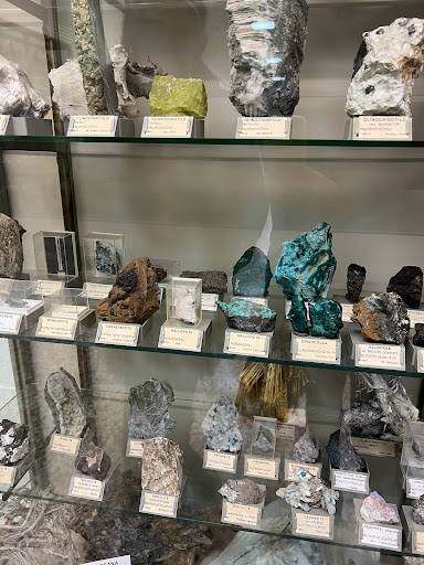 Museum of Natural History "Don Bosco" - Thumbnail