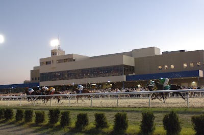 Photos of Presque Isle Downs & Casino
