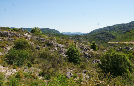 Garrigue Informatique