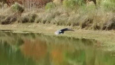 Photos of Meadow Links