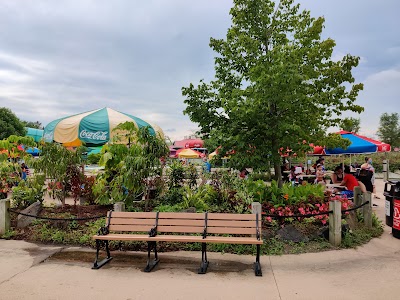 Six Flags Hurricane Harbor