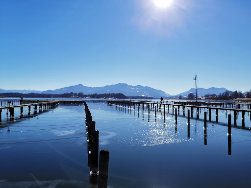 Sailing Club Breitbrunn-Chiemsee (SCBC) e.V. - Thumbnail