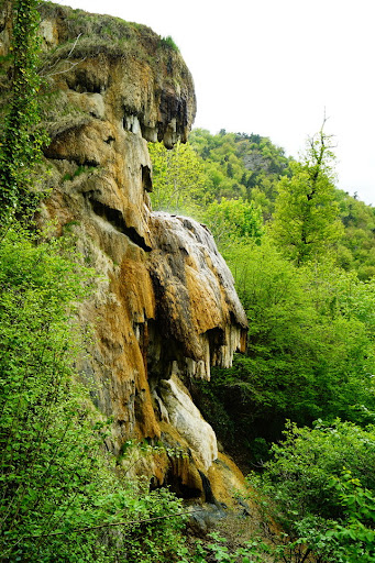 Source salée de la Tête de Lion