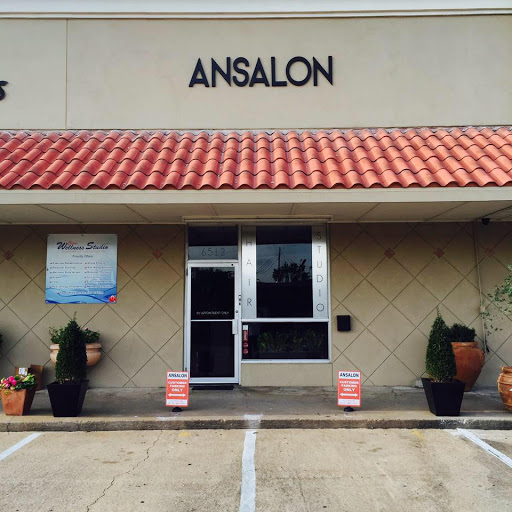 ANSALON