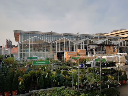 OBI Gartencenter Wittenberge - Thumbnail