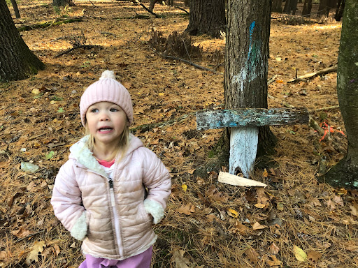 The Oak Rose Forest School by The Wizard School - Thumbnail