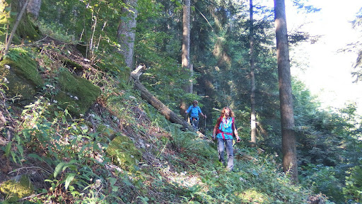 Area Wilderness - Visual