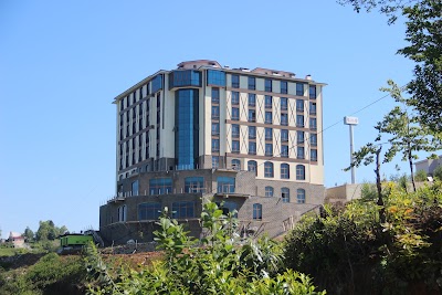 university