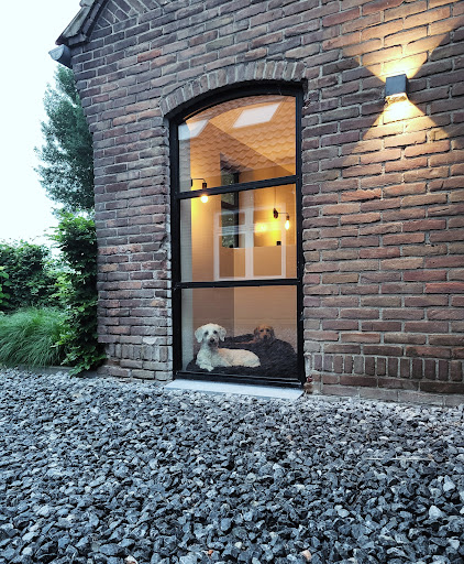 www.mydogresort.nl - Thumbnail