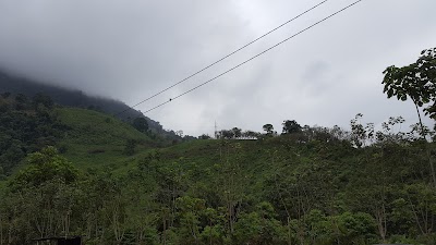 Photos of Complejo Tur&iacute;stico "Selva Alegre"