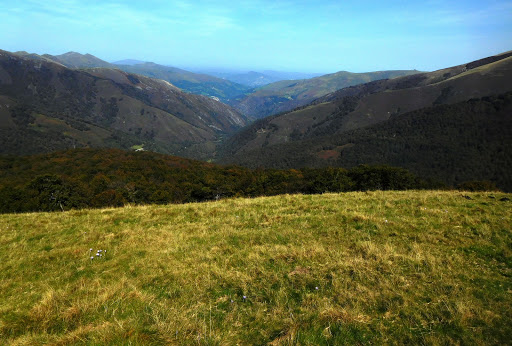 Valcarlos - Visual