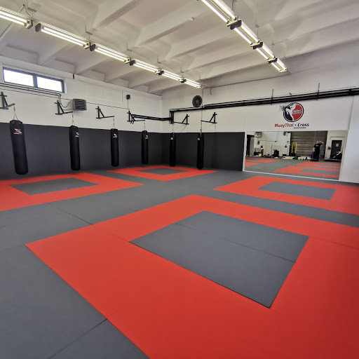 Grizzly Gym Haldensleben
