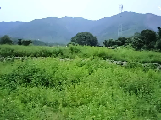 8 Bigha for sale in Dehradun Demand 12 Lakh per Bigha
