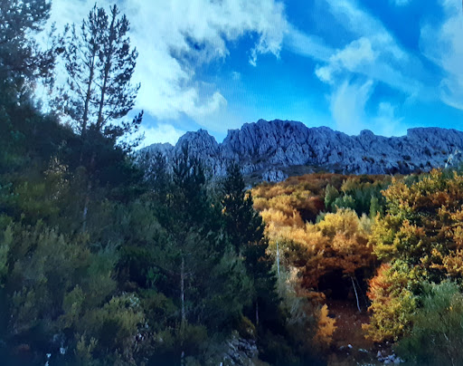 Pico Bodón - Visual