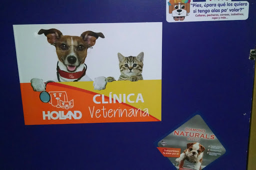 PRO-PET'S - Visual