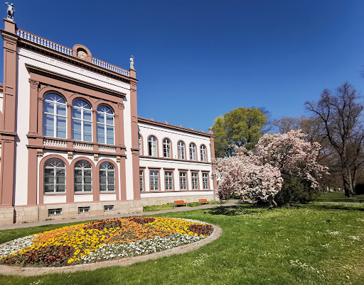 Kulturhistorisches Museum - Visual