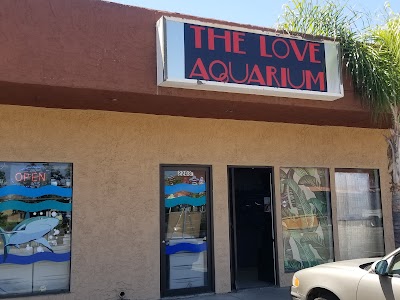 The Love Aquarium