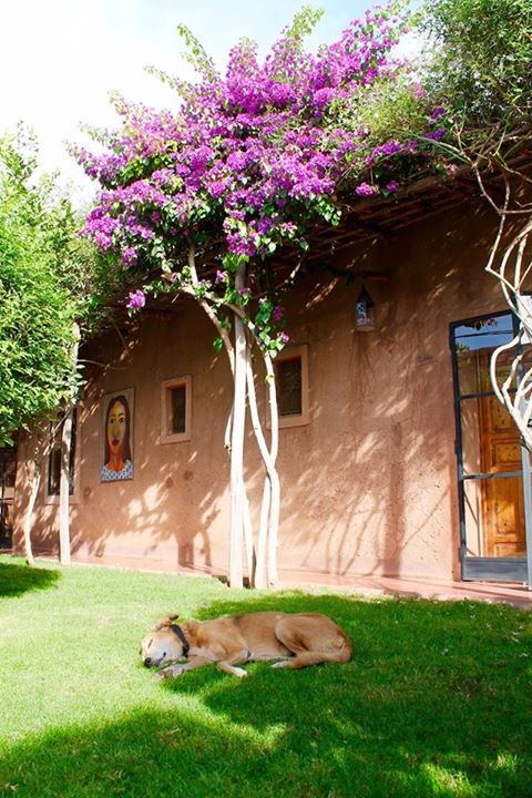 La Ferme Berbère, Marrakech