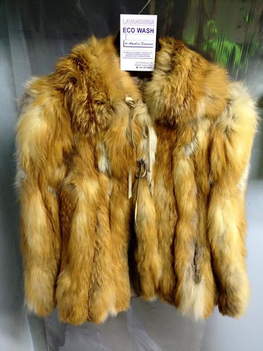 Lavanderia EcoWash - Visual