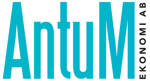 AntuM Ekonomi AB - Thumbnail