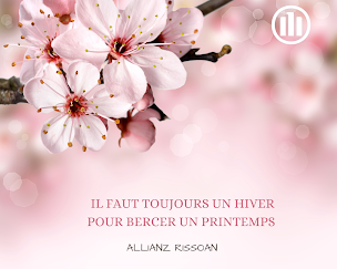 Photo n°14 de Allianz Assurance LYON TETE D'OR - RISSOAN & GEINDREAU à Lyon (Compagnie d'assurance moto)