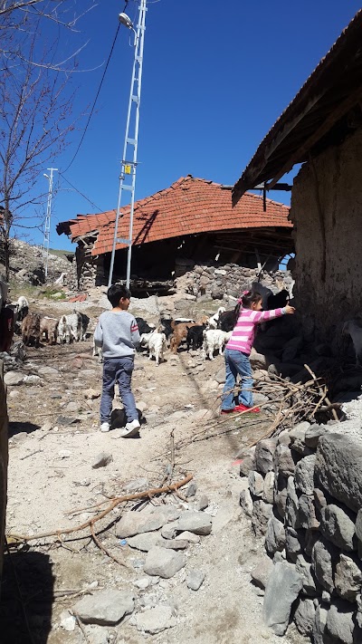 Photos of Uğurlu K&ouml;y&uuml; Cami