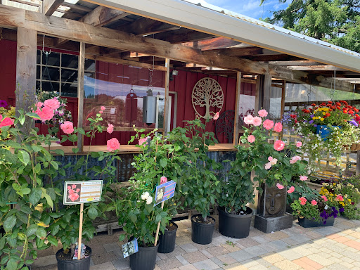 Paradise Plants Garden Centre - Thumbnail