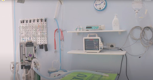 Ambulatorio Veterinario Associato Vittorio Veneto - Thumbnail