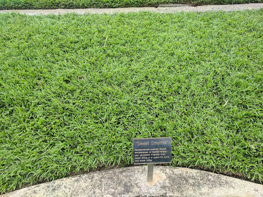 Grass Showcase - Visual