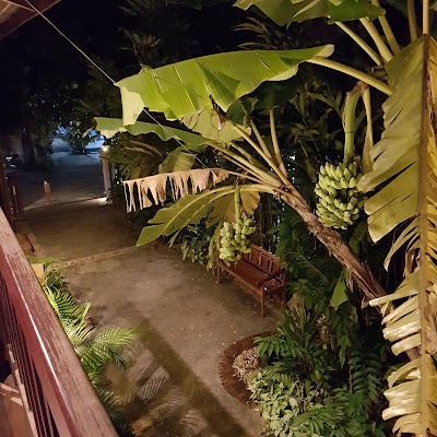 Photos of frangipani spa