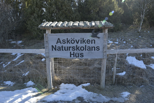 Naturskolans hus - Thumbnail