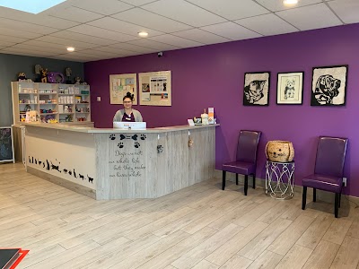 Purple Paws Pet Clinic