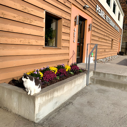 Pearl Veterinary Hospital - Thumbnail