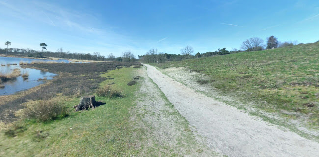 https://www.staatsbosbeheer.nl/rijkvannijmegen