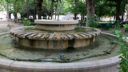 Parque La Glorieta (Glorieta del Botánico Pau) - Thumbnail