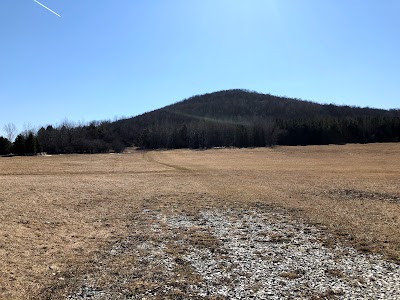 Garlic festival field