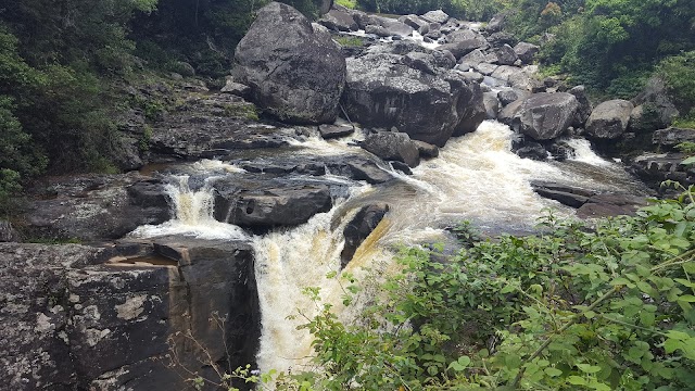 Parc national de Ranomafana