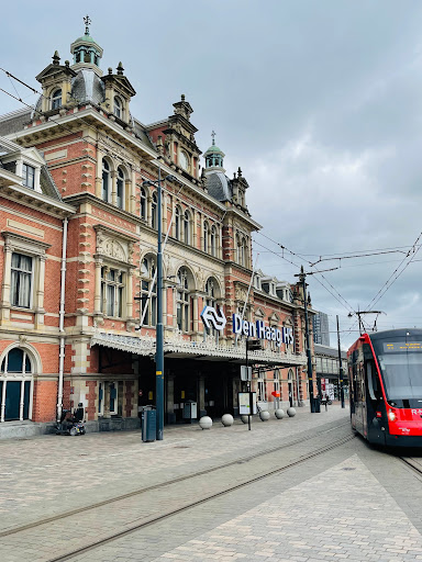 Den Haag HS - Thumbnail