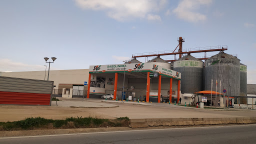 Gasolinera SVG Express